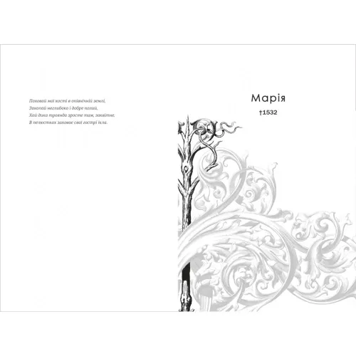 Поховай наші кості в опівнічній землі. Шваб В.Е. 978-617-8566-40-1