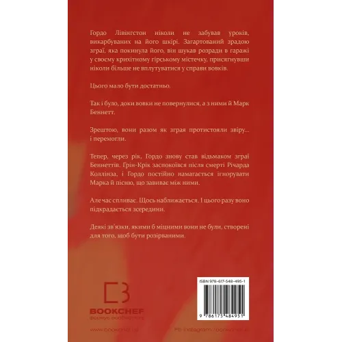 Пісня ворона. Зелений струмок. Книга 2. Т. Дж. Клюн. 9786175484951