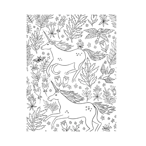 Товариство «Магічний єдиноріг». Селвін Фіппс. 978-617-7820-33-7