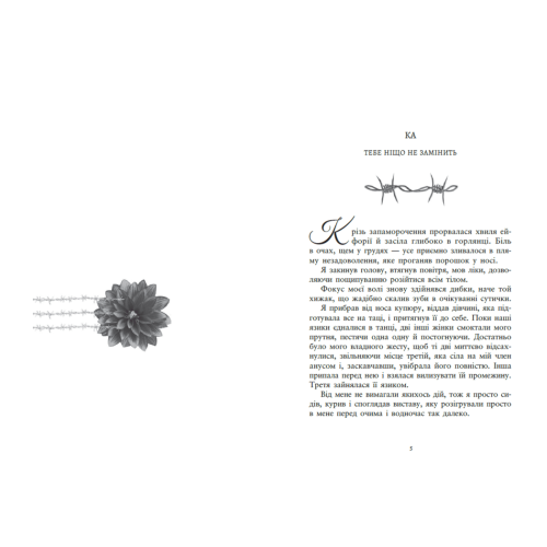 Упіймати красунечку. Тобі не втекти. Дж.С. Вонда. 978-617-8772-87-1 