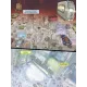 Без майбутнього. Корбейран Ерік. 9786170995643 