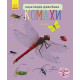 Енциклопедія дошкільника. Комахи. Юлія Каспарова. 9786170937292 