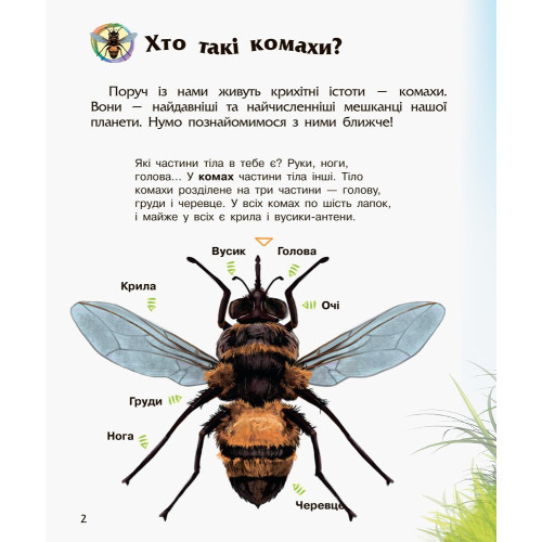 Енциклопедія дошкільника. Комахи. Юлія Каспарова. 9786170937292 