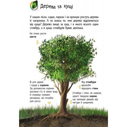 Енциклопедія дошкільника. Природа. Юлія Каспарова. 9786170928313 