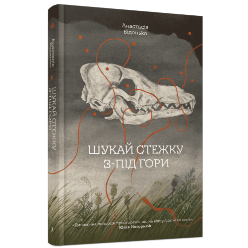 Шукай стежку з-під гори. Анастасія Бідонько. 978-617-522-677-3