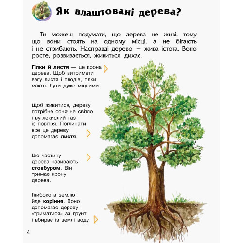 Енциклопедія дошкільника. Ліс. Юлія Каспарова. 9786170936196 