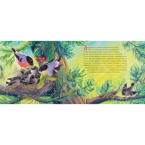 Мій друг снігур. Надійка Гербіш. 978-966-448-505-7