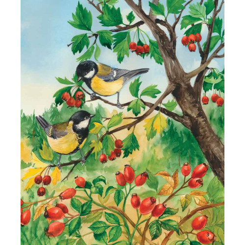 Енциклопедія дошкільника. Ліс. Юлія Каспарова. 9786170936196 