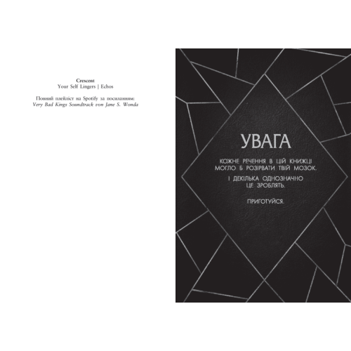 Дуже погані королі. Кінгстонський університет. Книга 1. Дж.С.Вонда. 978-617-09-9857-6