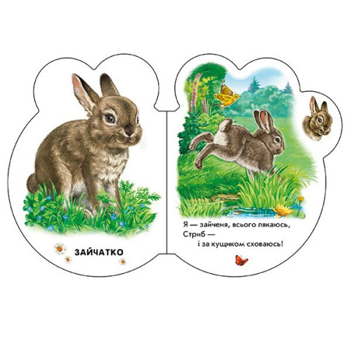 Малята у лісі. Ірина Сонечко. 9789667508609 