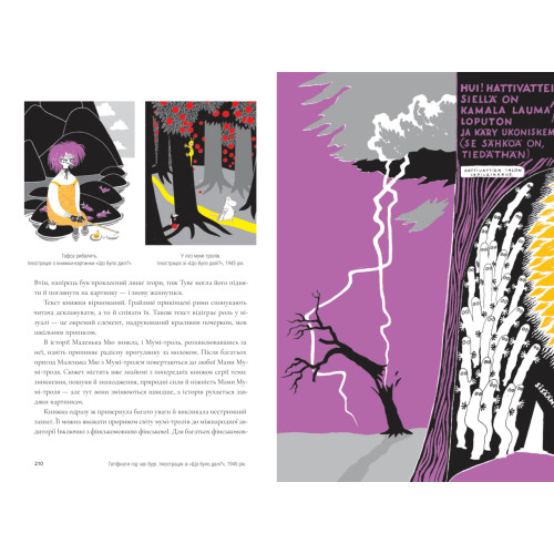 Туве Янссон: творчість і любов. Туула Карʼялайнен. 978-617-8693-41-1