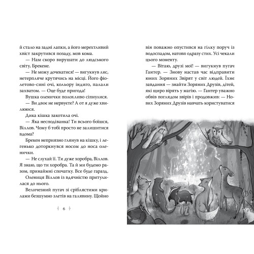 Зоряні Друзі. Книга 1. Зачароване дзеркало. Лінда Чепмен. 978-617-8512-75-0