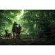 Світ гри Kingdom Come: Deliverance II. Warhorse Studios. 9786178168957