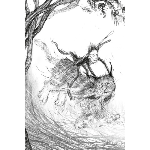 Були собі чаклуни. Чари перші. Крессіда Ковелл. 978-617-8639-75-4