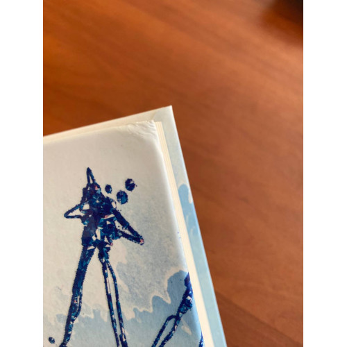 Зламаний принц (ДЕФЕКТ ОБКЛАДИНКИ). Ватт Ерін. 9786170990020