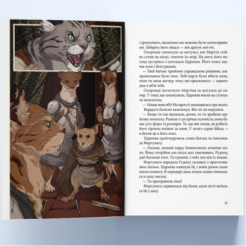 Мохоцвітна країна. Книга 2. Браян Жак. 9786178383404