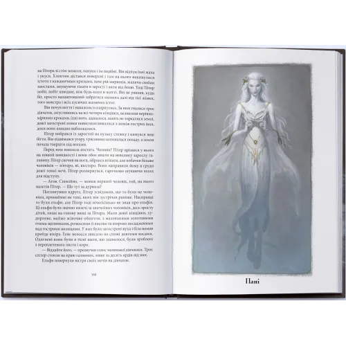 Викрадач дітей. Джеральд Бром. 9786178383893