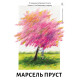 У пошуках утраченого часу. Книга 1. На Сваннову сторону. Марсель Пруст. 9786178401603
