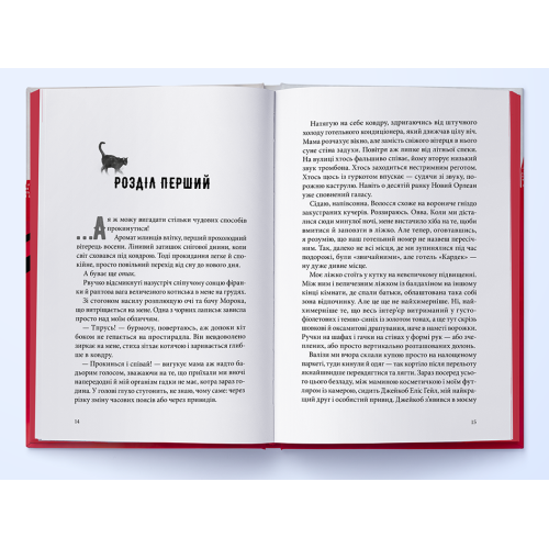 Міст душ. Шваб В.Е. 9786178383961