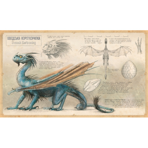 Гаррі Поттер і келих вогню. Велике ілюстроване видання. Джоан Ролінг. 978-617-585-182-1