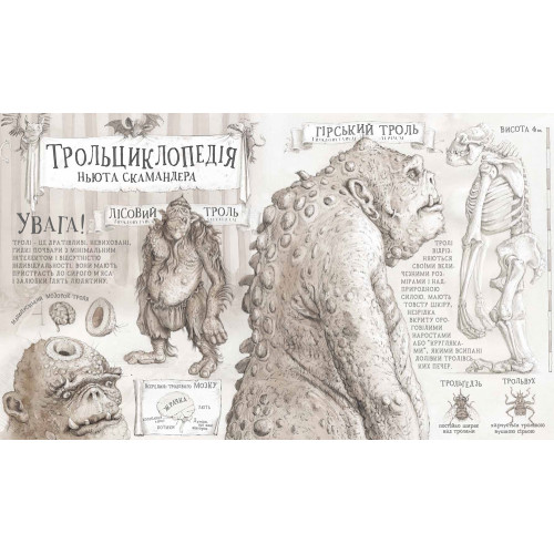 Гаррі Поттер і філософський камінь. Велике ілюстроване видання. Джоан Ролінг. 978-617-585-100-5