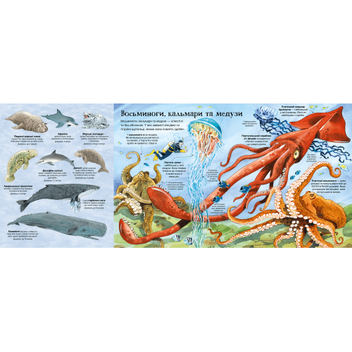 Велика книга морських мешканців. Емілі Боун. 9786177940172