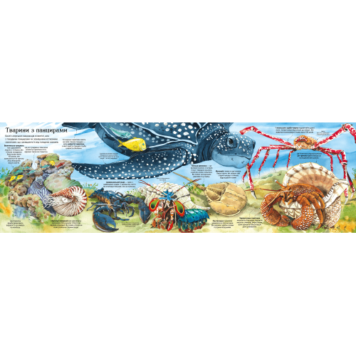 Велика книга морських мешканців. Емілі Боун. 9786177940172