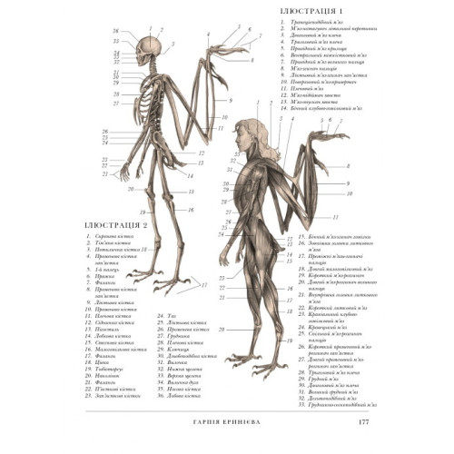 Воскреситель. Анатомія фантастичних істот. Гадспет Ерік. 9786175483510			
