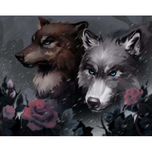 Кров і попіл. Книга 2. Королівство плоті й вогню (Подарункове видання). Дженніфер Арментраут. 978-617-548-221-6