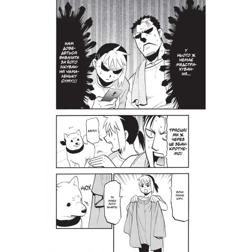 Цугаї потойбіччя. Том 2. Аракава Хірому. 9786178396374