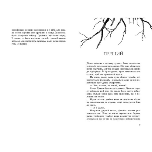 Порушники. Книга 2. Провідник. Клер Мак-Фолл. 9786170972675