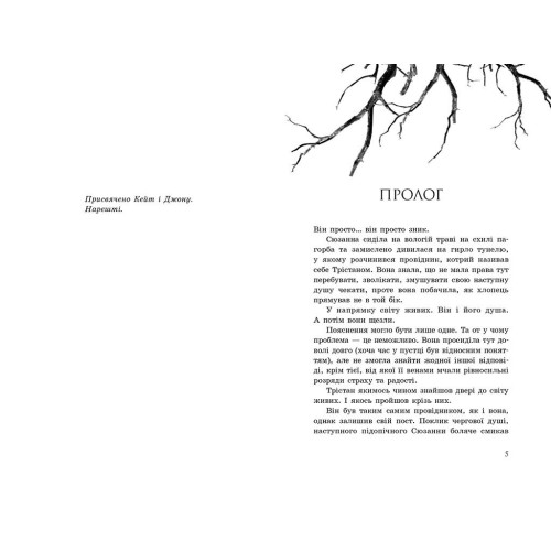 Порушники. Книга 2. Провідник. Клер Мак-Фолл. 9786170972675