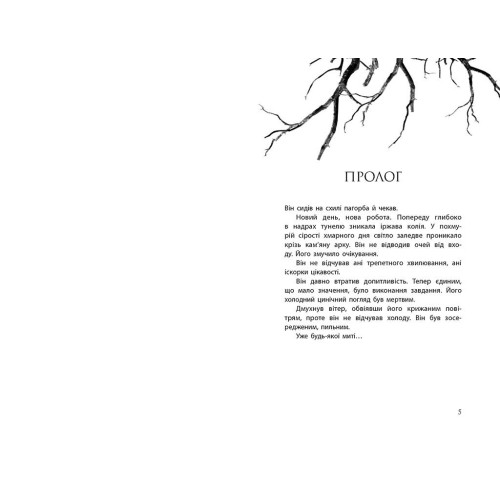 Провідник. Книга 1. Клер Мак-Фолл. 9786170972668