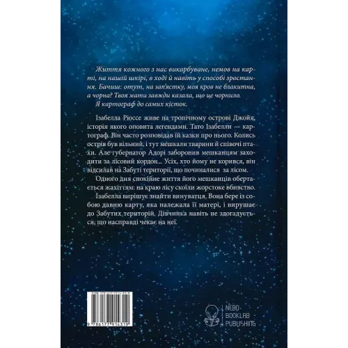 Дівчина з чорнила та зірок. 9786177914319