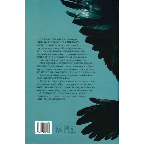 Ворони. Книга 1. Меґґі Стівотер. 9786177914722