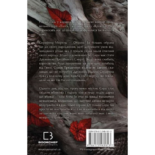 Тінь у жариві. Плоть і вогонь. Книга 1. Дженніфер Арментраут. 978-617-548-181-3
