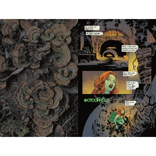 Отруйний плющ. Книга 1. Непорочне коло. Гвендолін Віллов Вілсон. 978-617-8373-33-7