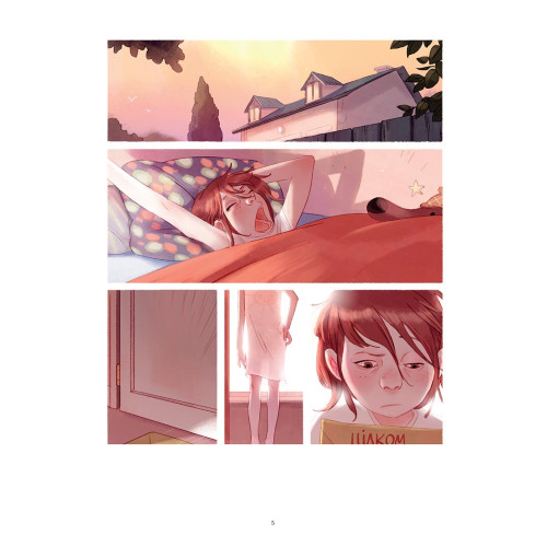 Щоденники Вишеньки та Валентин. Жоріс Шамблен. 9786178396107