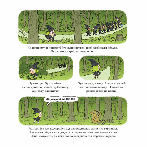 Зук. Книга 8. Відьомські секрети. Серж Блок. 9786178109486